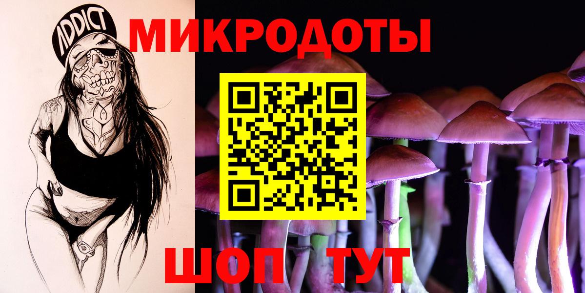 Псилоцибиновые грибы Psilocybine cubensis Анапа
