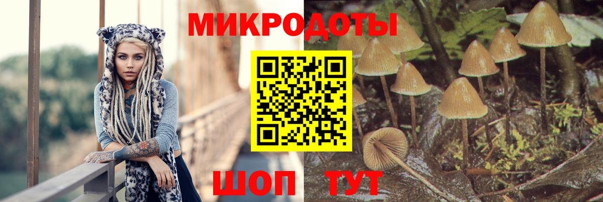 Псилоцибиновые грибы Cubensis  Вход с VPN  Анапа  Галлюциногенные грибы Magic Shrooms 